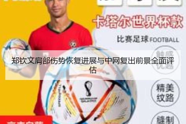 郑钦文肩部伤势恢复进展与中网复出前景全面评估